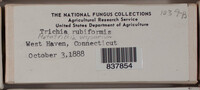 Image Associated With the Occurence